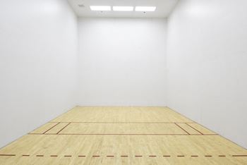 Racket ball court